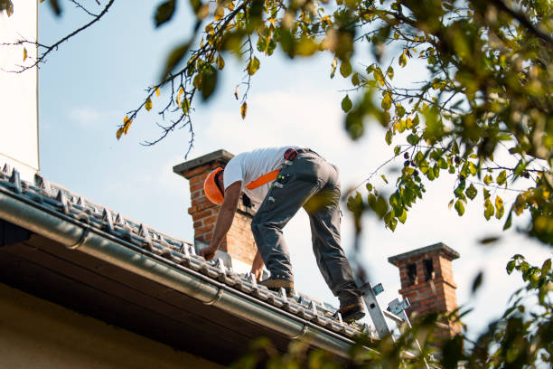 Best Emergency Roof Repair  in Dresden, OH