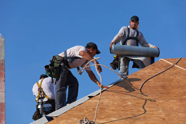 Best Roof Restoration Services  in Dresden, OH