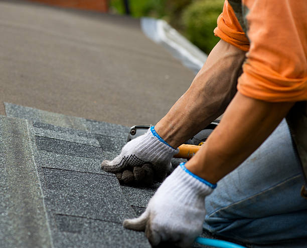 Best Local Roofing Companies  in Dresden, OH