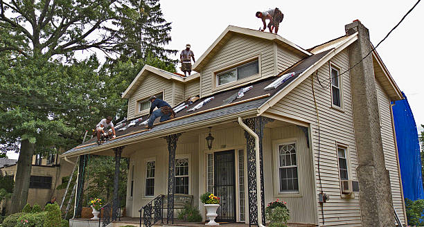 Best Roof Leak Repair  in Dresden, OH