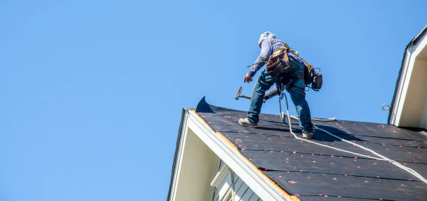 Best Roof Gutter Cleaning  in Dresden, OH